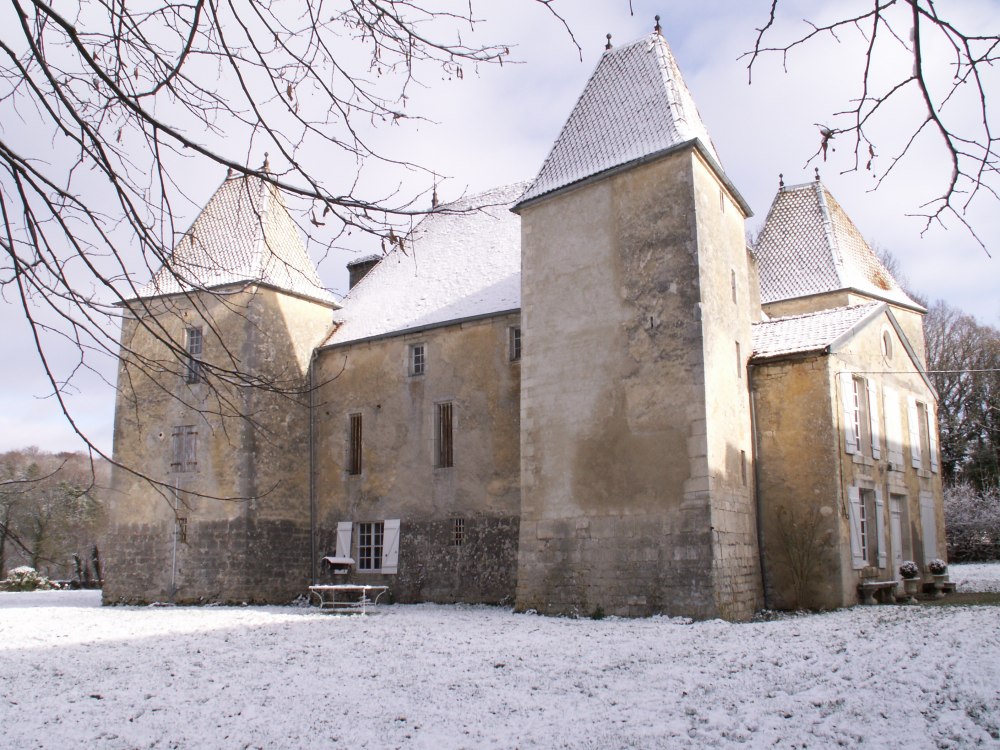 KONICA MINOLTA DIGITAL CAMERA